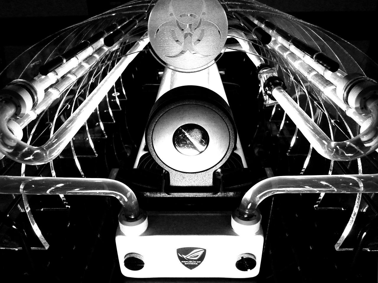 二龍灘水庫最新動態(tài)更新，最新消息匯總