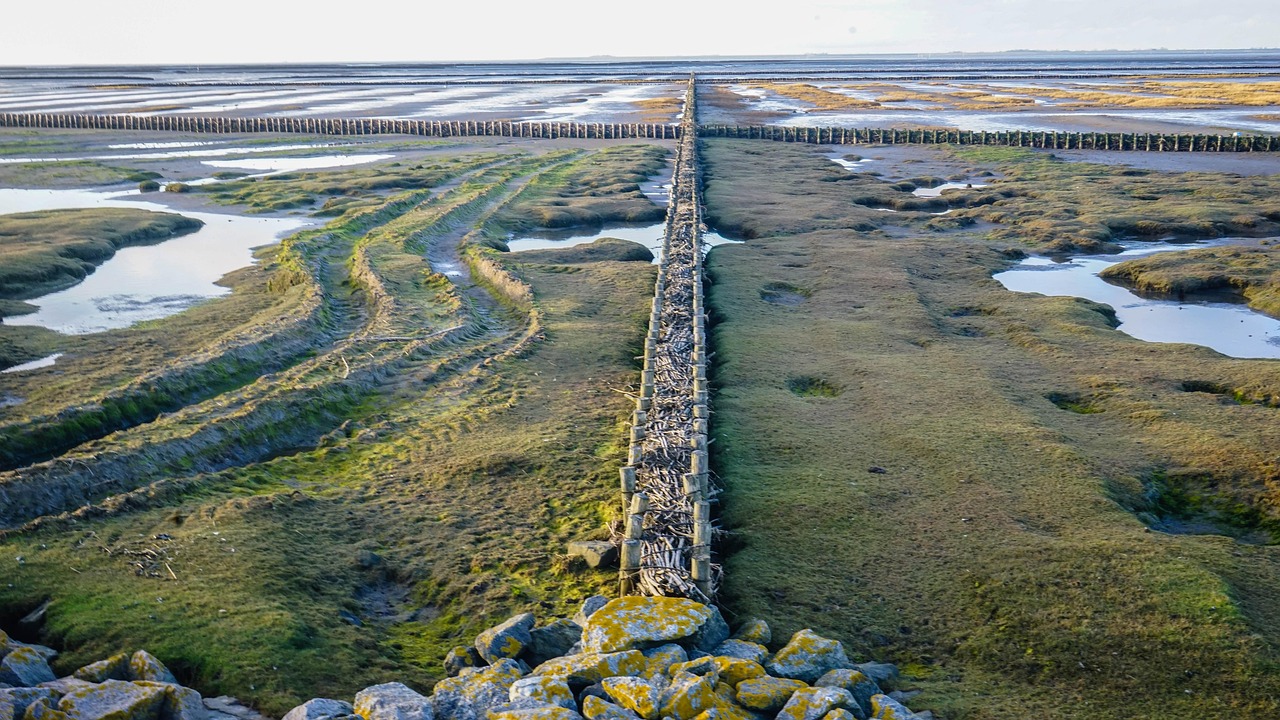 ?；◢u最新工程進度圖全景概覽