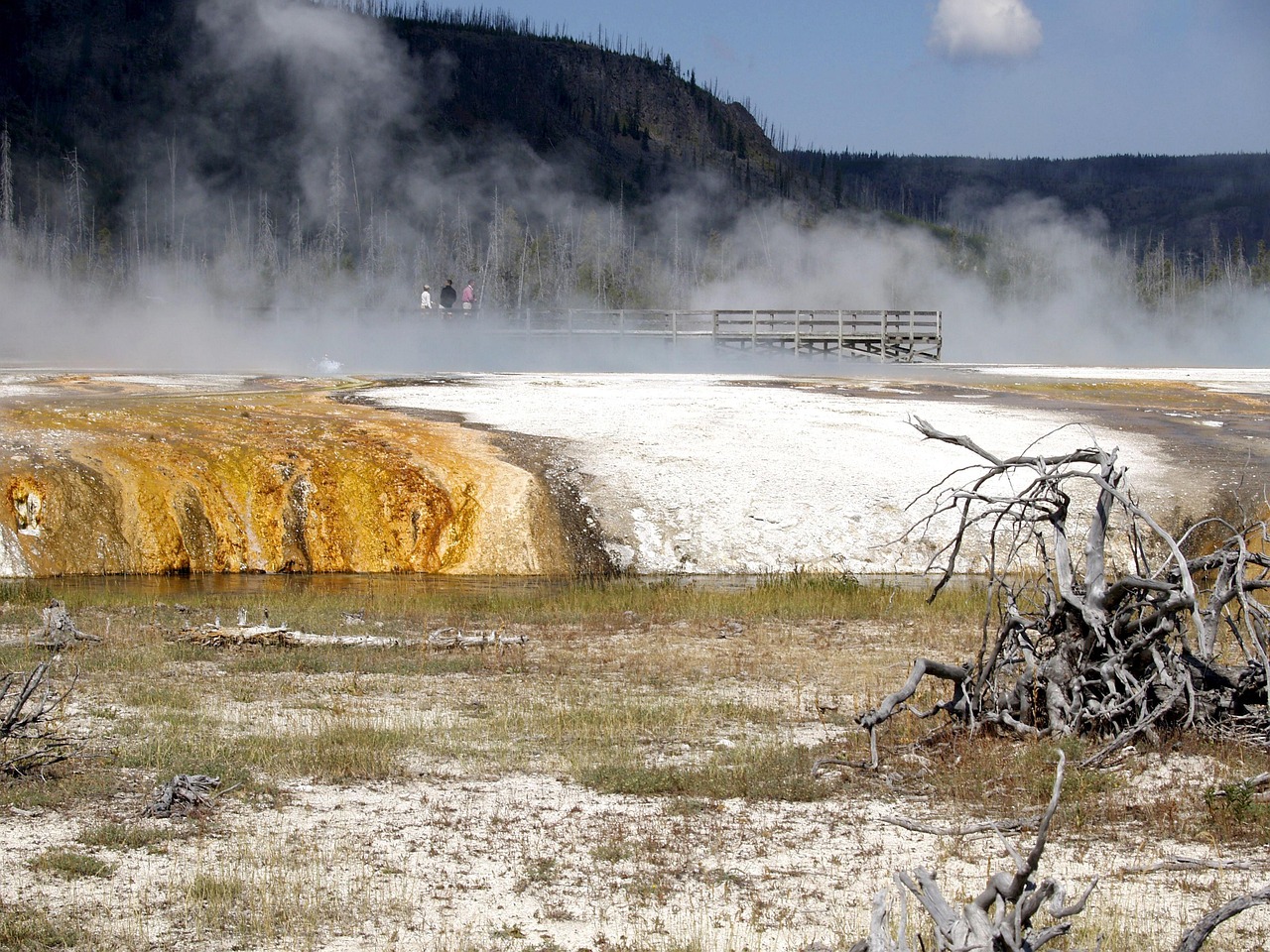 宏澤中央公園最新動(dòng)態(tài)速遞，最新消息一覽
