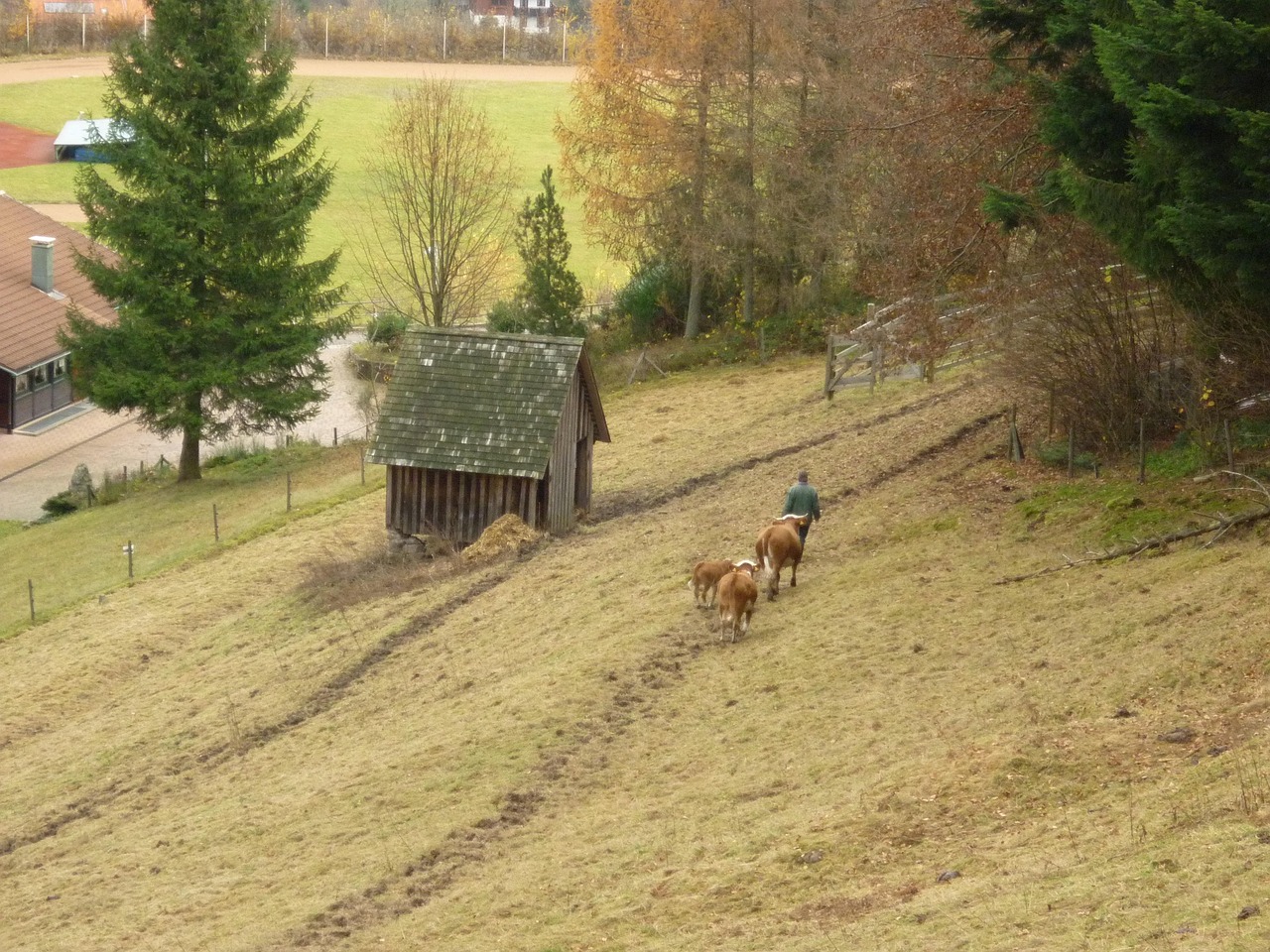 QQ農(nóng)牧場偷匪最新版，開啟游戲樂趣與挑戰(zhàn)的新篇章