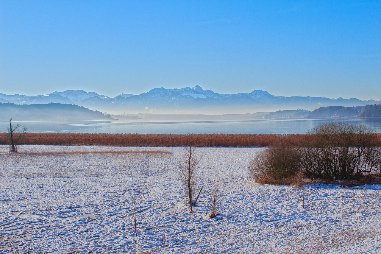揭秘，關(guān)于1977年1分硬幣的最新消息與動態(tài)分析