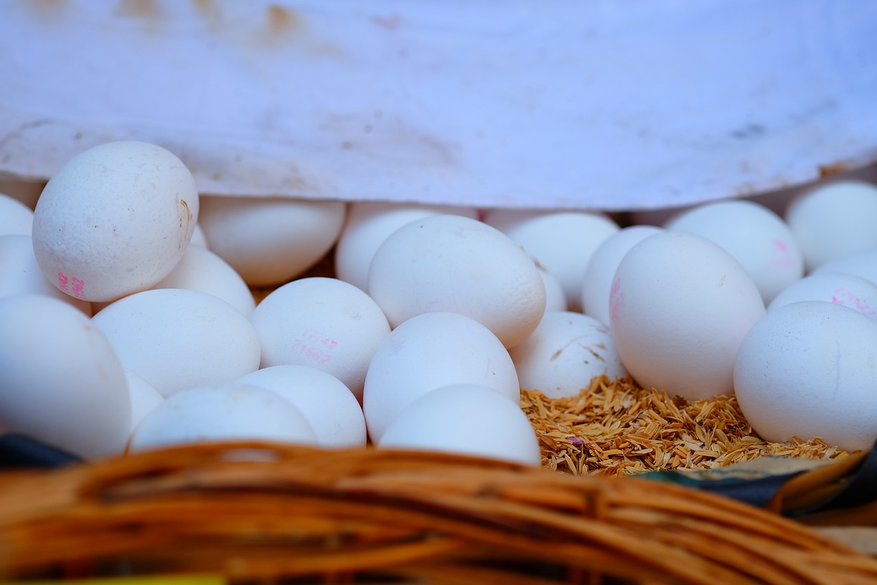 杭州網(wǎng)約車最新動態(tài)，行業(yè)變革與未來展望