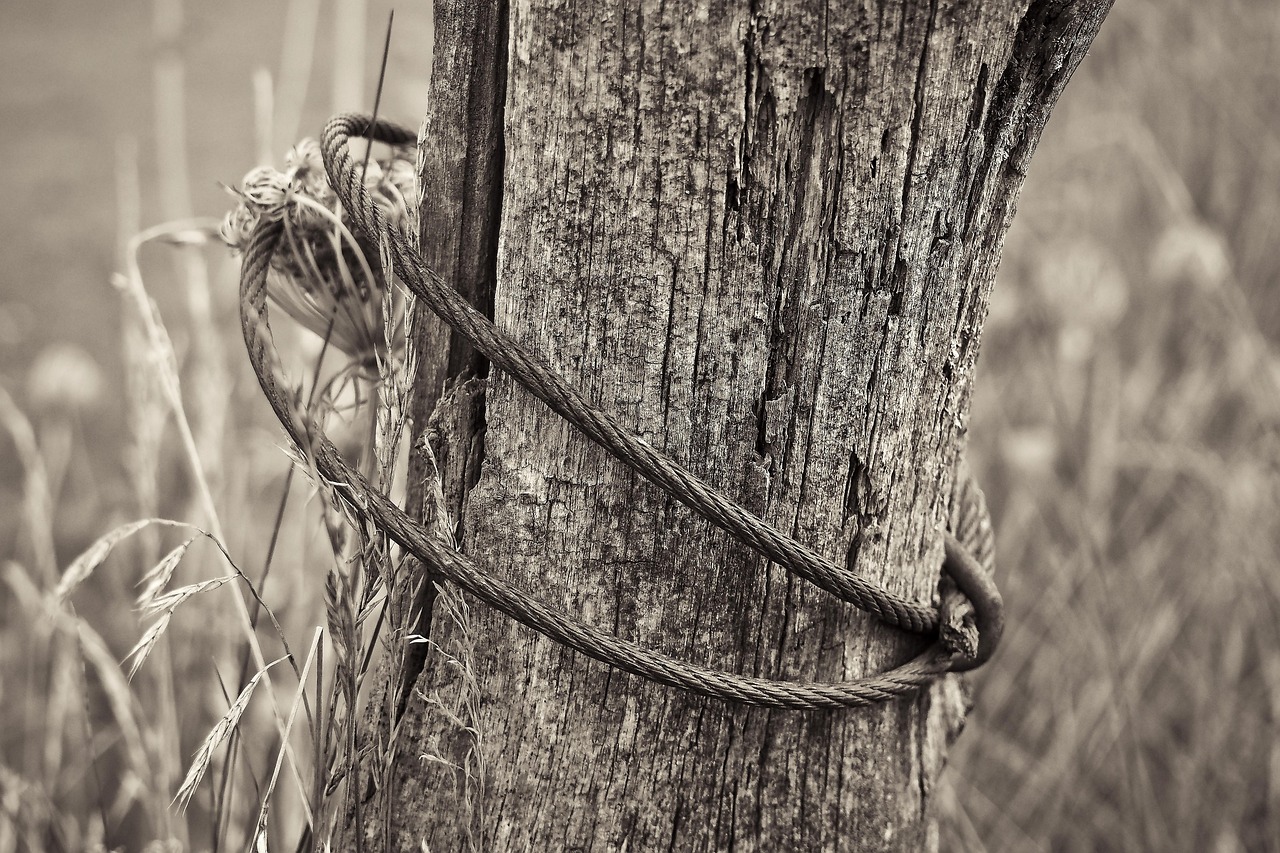 祁陽(yáng)撤縣劃市最新動(dòng)態(tài)，轉(zhuǎn)型發(fā)展開啟嶄新篇章