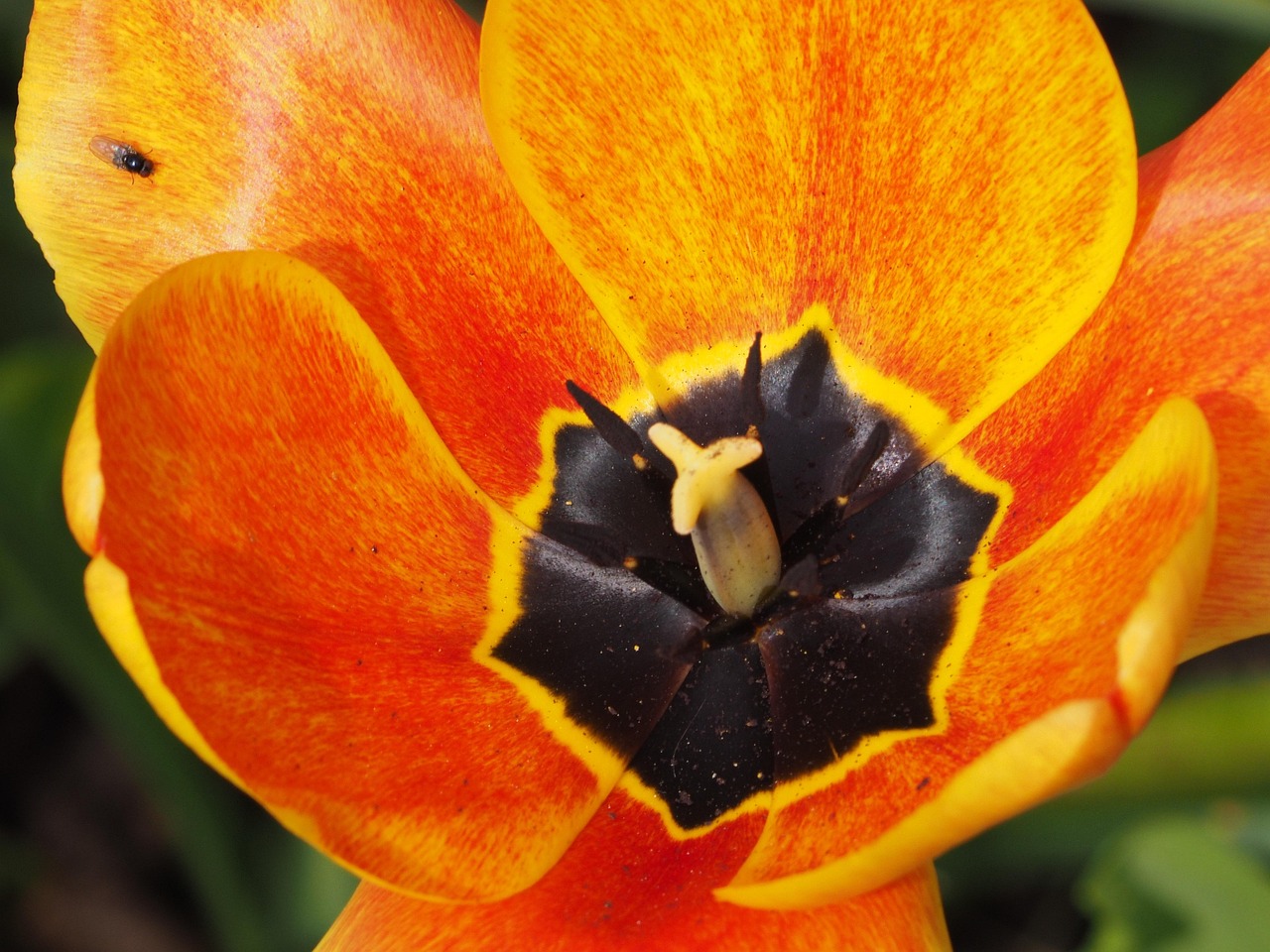 太和縣三堂鎮(zhèn)最新動態(tài)更新