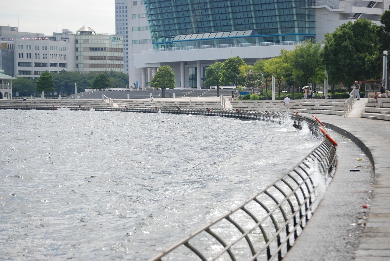 鄭州海昌海洋公園最新動態(tài)揭秘，揭開神秘面紗，展現(xiàn)海洋魅力奇觀