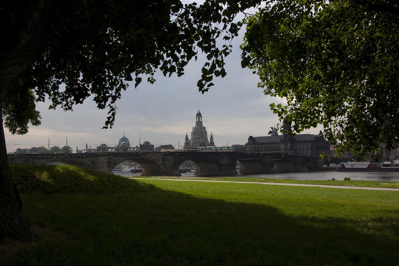 成華圣燈公園最新進展，城市綠色心臟蓬勃生長