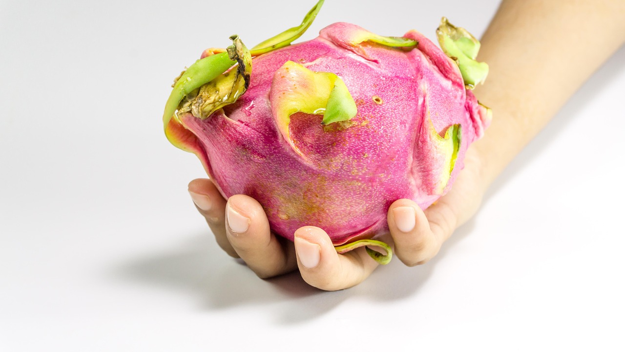 YY主播小白龍最新動態(tài)，探索成長與變化的軌跡