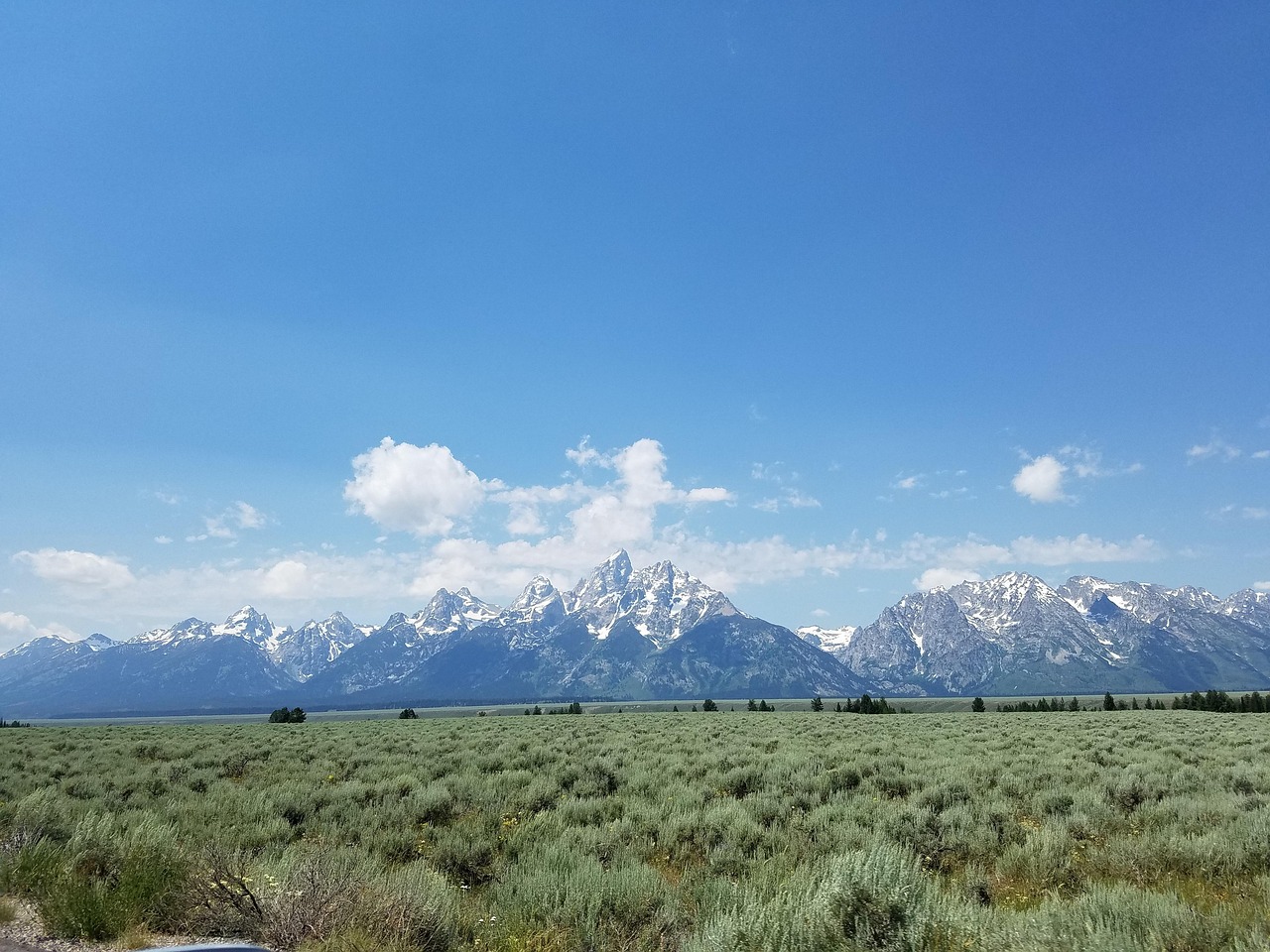 崀山犬木塘庫最新動態(tài)，揭開神秘面紗下的壯麗景象揭秘