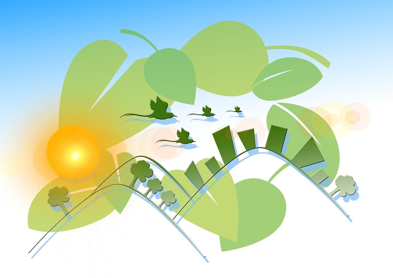 ST長油新三板動態(tài)，最新消息與深度解析