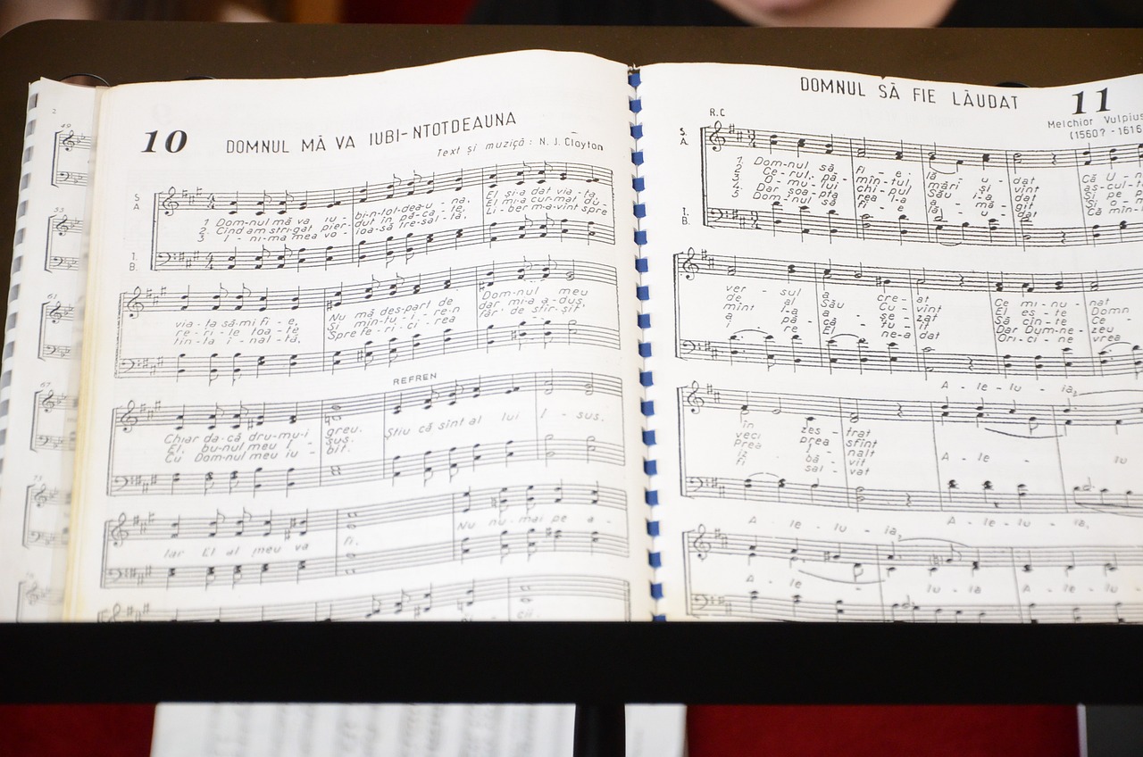 拾荒者符凡迪最新歌曲，城市音符中的獨(dú)特旋律