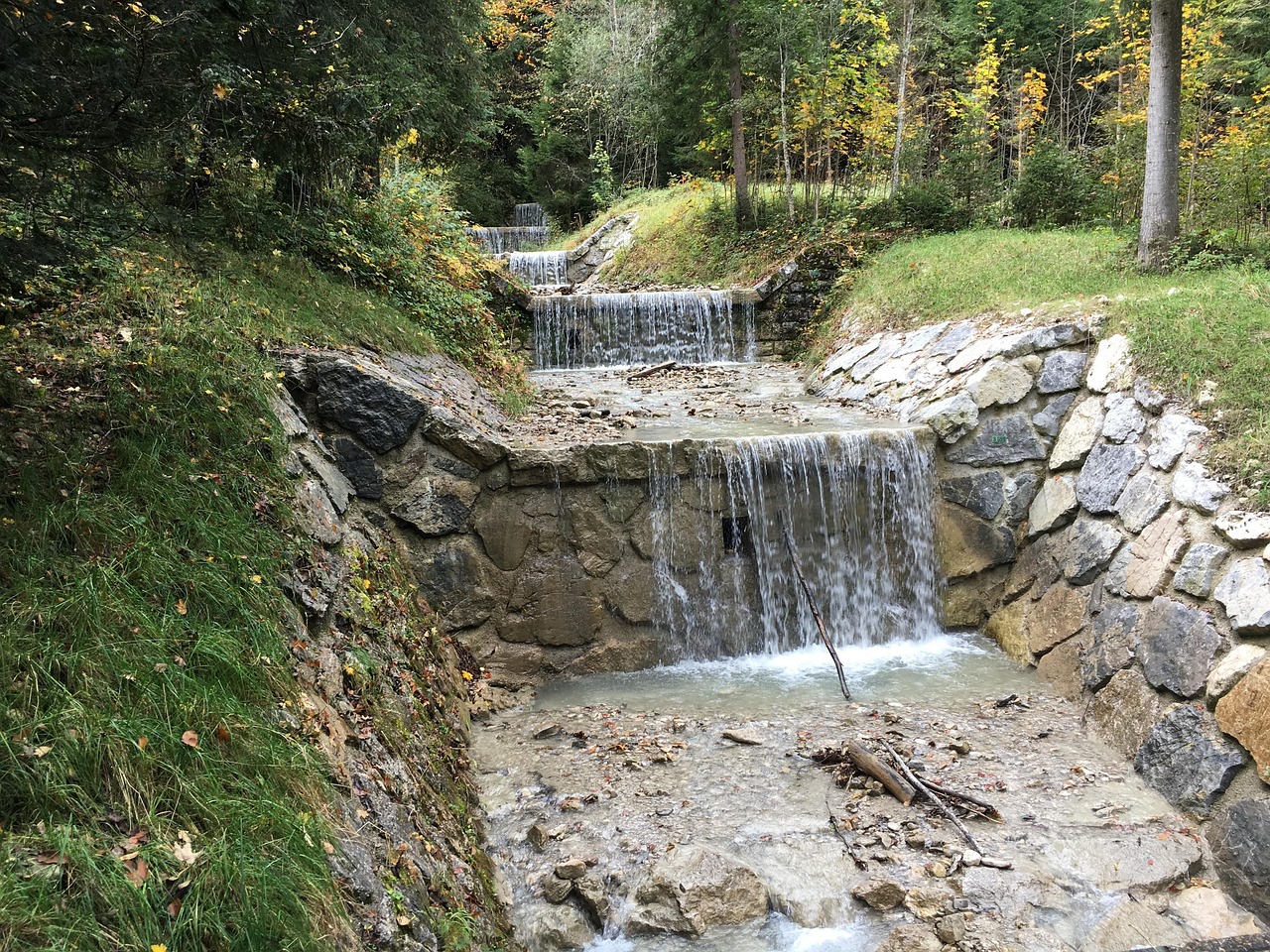 三北防護(hù)林最新動態(tài)，邁向生態(tài)文明的綠色長城持續(xù)壯大
