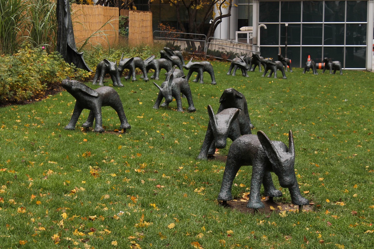 安湯一體化最新動(dòng)態(tài)，引領(lǐng)城市發(fā)展的新浪潮