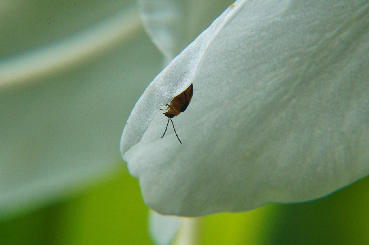 濟(jì)南地鐵R2線最新進(jìn)展報(bào)告更新，最新動(dòng)態(tài)揭秘！