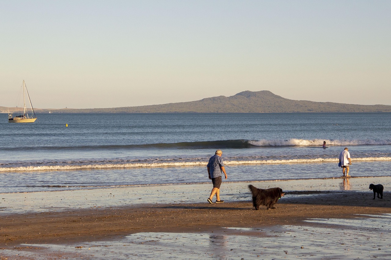 山西退休職工養(yǎng)老金調(diào)整最新動(dòng)態(tài)，改革進(jìn)展、未來展望與調(diào)整消息速遞