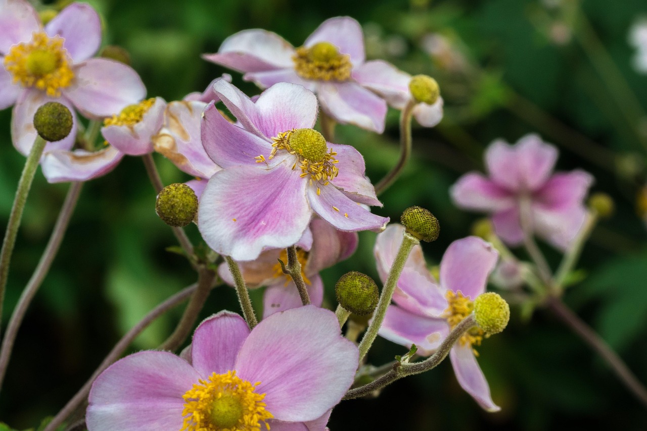 馬刺最新動態(tài)，持續(xù)進(jìn)化，蓄勢待發(fā)啟航新征程