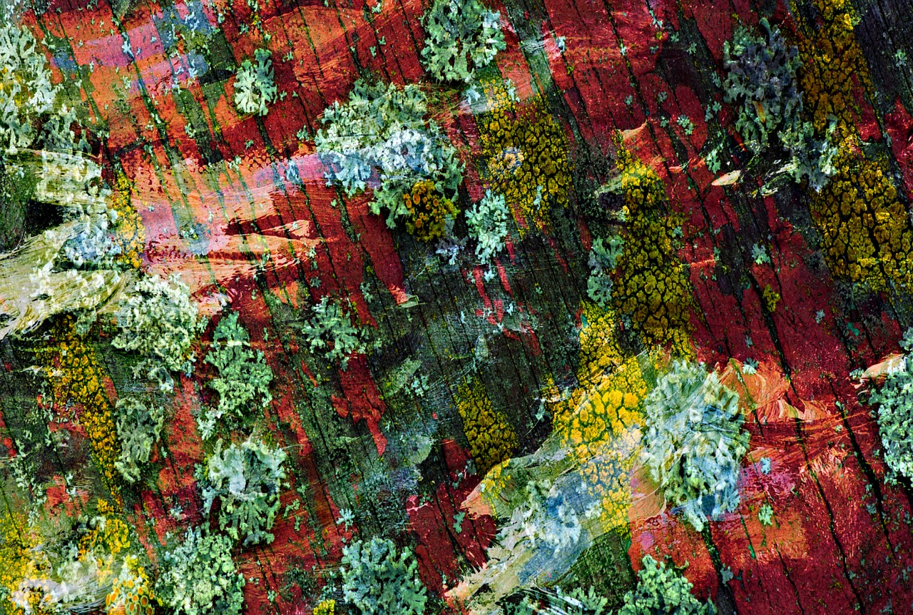 自然與現(xiàn)代交融的山野雜家新風(fēng)貌，鄉(xiāng)村新篇章